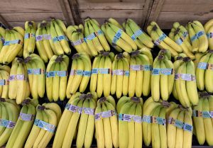 Banana - Equifruit B Corp  